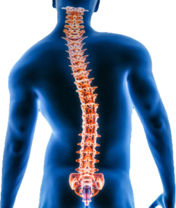 scoliosis cheneau brace in oman